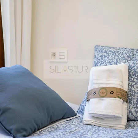 Apartment Riverastur By Silastur